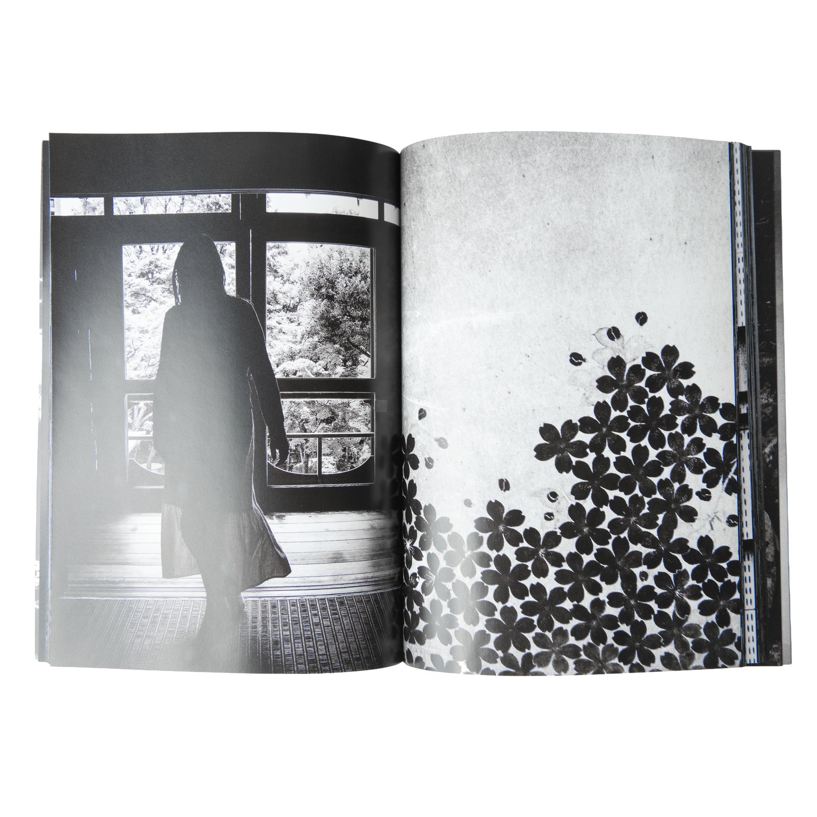 Vein: A Photobook | David Kresses