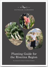 Planting Guide Ebook - digital download PDF