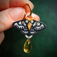 Image 2 of Albino Moth