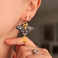 Image 3 of Albino Moth