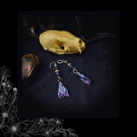 Image 3 of ☽ Lepidoptera Nox ☾