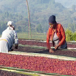 Image of Ethiopie - Khalid Shifa