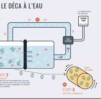 Image 3 of Décaféiné Mexique