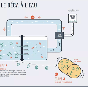 Image of Décaféiné Mexique
