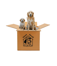 Welcome to the pack box 
