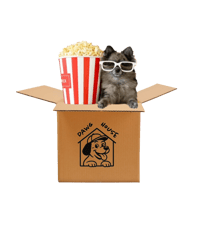Dawgflix and chill 