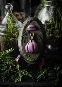 Image 3 of Garlic Clove