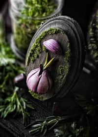 Image 2 of Garlic Clove