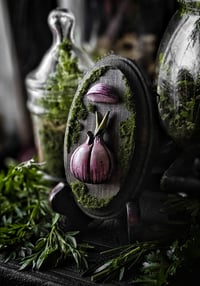 Image 1 of Garlic Clove