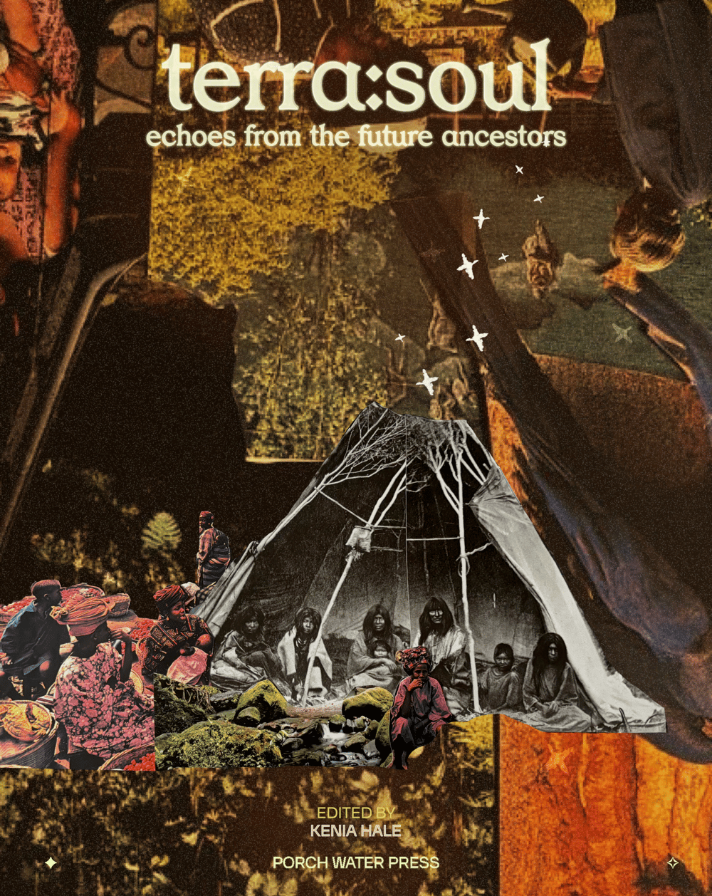 Image of terra:soul: echoes from the future ancestors