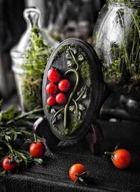 Image 1 of Cluster of Cherry Tomatoes 