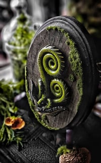 Image 2 of Family of Fiddleheads