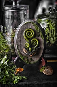 Image 1 of Family of Fiddleheads