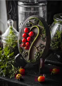 Image 1 of Large Cluster of Cherry Tomatoes 