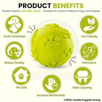 Image 1 of Copy of Durable and Safe Fetch Teething Dog Toy 