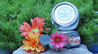 Image 5 of Geranium Body Butter- 8oz