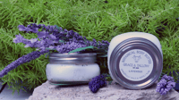 Image 5 of Lavander Body Butter -2 sizes