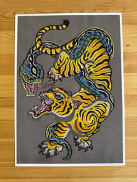 Image 1 of Tiger snake fight dark background