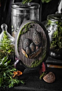 Image 1 of Large Morel Cluster