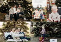 Image 1 of HOLIDAY MINIS *OUTDOOR*