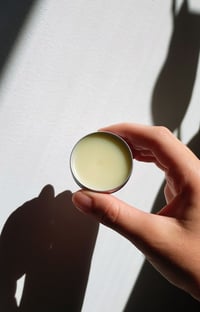 Image 2 of Plain Jane - Lip Balm