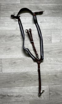 Image 1 of Antarès Breastplate w/ Running Martingale - Warmblood Size