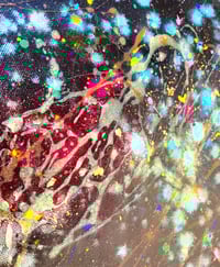 Image 3 of The Equality of Love 