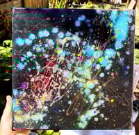 Image 2 of The Equality of Love 