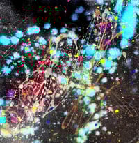 Image 1 of The Equality of Love 