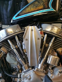 Image 1 of Coffin bird deflector - Super E