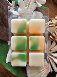 Image 5 of White Pumpkin Cashmere- A Rockytop Wax Works exclusive custom houseblend fragrance 