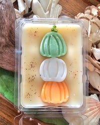 Image 4 of White Pumpkin Cashmere- A Rockytop Wax Works exclusive custom houseblend fragrance 