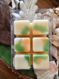 Image 8 of White Pumpkin Cashmere- A Rockytop Wax Works exclusive custom houseblend fragrance 