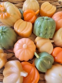 Image 9 of White Pumpkin Cashmere- A Rockytop Wax Works exclusive custom houseblend fragrance 