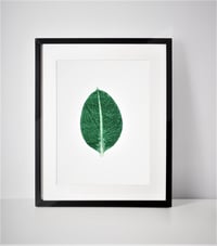 Image 1 of Green Ficus Leaf Print