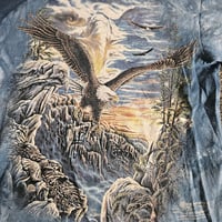 Image 2 of Eagle & Mountains