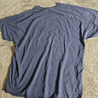 Image 4 of Eagles & Wolf