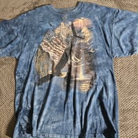 Image 1 of American Eagles