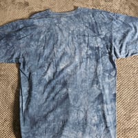 Image 3 of American Eagles