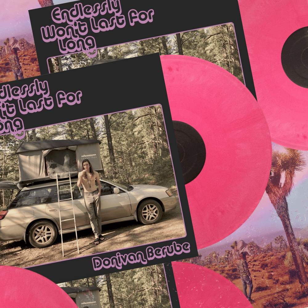 Image of Endlessly Won't Last for Long LP