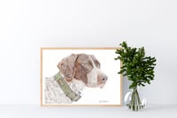 Image 2 of German Short Haired Pointer - Original Colored Pencil Dog Portrait