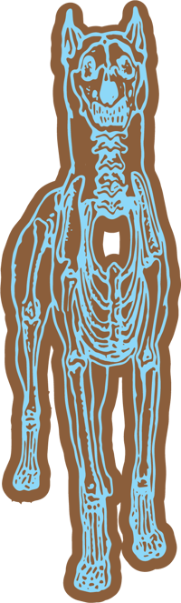 Image 1 of BROWN SLING BAG