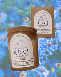 Image 5 of Candles for People - Joe Jonas Collection