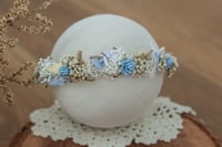 Newborn/Sitter Halo 134