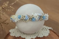 Newborn/Sitter Halo 135