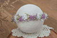 Newborn/Sitter Halo 136