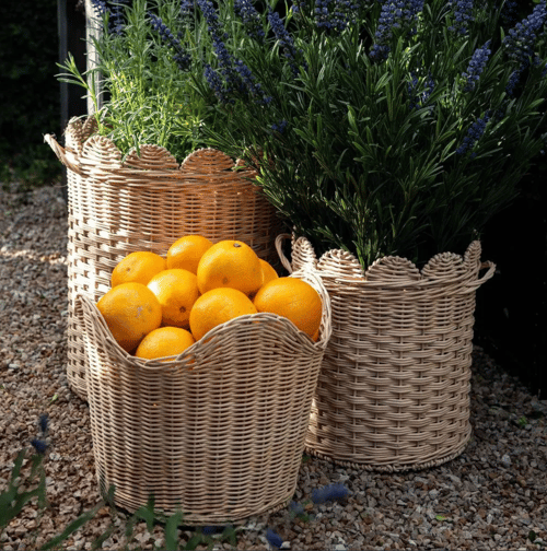 Image of Scalloped Rattan Basket