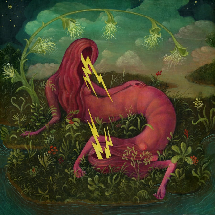 Image of Signal and Noise (Print)