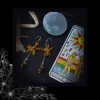 Image 2 of ☽ Hypericum Flava ☾