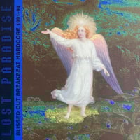 Image 1 of VARIOUS ARTIST - Lost Paradise (Blissed Out Breakbeat Hardcore 1991 - 1994 2LP